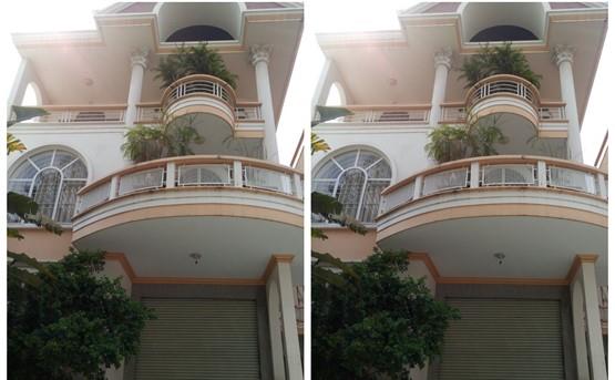 Villa for rent in binh thanh district BT200002 (3)